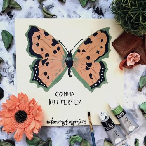 Comma Butterfly